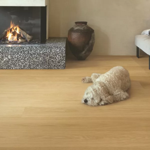 parquet flotante tarima